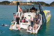 Nouvelle-Zélande - Bay of Islands - Nage avec les dauphins dans la Bay of Islands