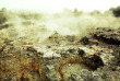Nouvelle-Zélande - Rotorua - Visite libre de la réserve géothermique de Hell's Gate