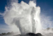 Nouvelle-Zélande - Rotorua - Après-midi autour de la culture Maori et de la géothermie à Te Puia  © Te Puia