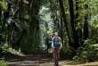 Nouvelle-Zélande - Rotorua - Treetops Lodge