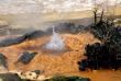 Nouvelle-Zélande - Rotorua - Wai-O-Tapu, Waimangu et Waikite, concentré de merveilles géothermiques