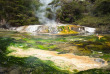 Nouvelle-Zélande - Rotorua - Découverte de la culture Maorie et de la géothermie à Rotorua