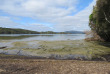 Nouvelle-Zélande - Stewart Island - Rakiua Great Walk © Ruggedy Ranges