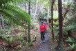 Nouvelle-Zélande - Stewart Island - Rakiua Great Walk © Ruggedy Ranges