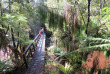 Nouvelle-Zélande - Stewart Island - Rakiua Great Walk © Ruggedy Ranges