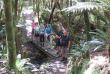 Nouvelle-Zélande - Stewart Island - Rakiua Great Walk © Ruggedy Ranges