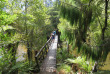 Nouvelle-Zélande - Stewart Island - Rakiua Great Walk © Ruggedy Ranges