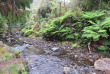 Nouvelle-Zélande - Stewart Island - Rakiua Great Walk © Ruggedy Ranges