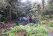 Nouvelle-Zélande - Stewart Island - Rakiua Great Walk © Ruggedy Ranges
