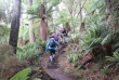 Nouvelle-Zélande - Stewart Island - Rakiua Great Walk © Ruggedy Ranges