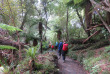 Nouvelle-Zélande - Stewart Island - Rakiua Great Walk © Ruggedy Ranges