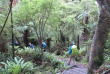 Nouvelle-Zélande - Stewart Island - Rakiua Great Walk © Ruggedy Ranges