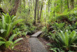 Nouvelle-zélande - Stewart island - Ulva Island © Ruggedy Ranges