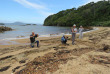 Nouvelle-zélande - Stewart island - Ulva Island © Ruggedy Ranges