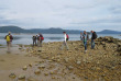 Nouvelle-zélande - Stewart island - Ulva Island © Ruggedy Ranges