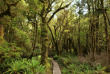 Nouvelle-Zélande - Te Anau - Fiordland Lodge Te Anau