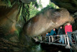 Nouvelle-Zélande - Te Anau - Glowworm Caves