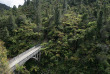 Nouvelle-Zélande - Parc national de Tongariro - Aventure en canoë sur la rivière Whanganui