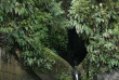 Nouvelle-Zélande - Parc national de Tongariro - Aventure en canoë sur la rivière Whanganui