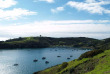 Nouvelle-Zélande - Auckland - Découverte de l'île de Waiheke © Eve Robinson