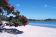 Nouvelle-Zélande - Auckland - Découverte de l'île de Waiheke © Eve Robinson