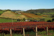 Nouvelle-Zélande - Auckland - Découverte de l'île de Waiheke © Eve Robinson