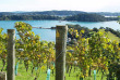 Nouvelle-Zélande - Auckland - Découverte de l'île de Waiheke © Eve Robinson