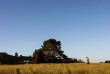 Nouvelle-Zélande - Waitomo - Matu PurePod © Alice Veysey
