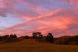 Nouvelle-Zélande - Waitomo - Matu PurePod © Alice Veysey