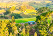 Nouvelle-Zélande - Waitomo - Matu PurePod