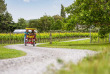Nouvelle-Zélande - Wairapapa - Martinborough - Tourism New Zealand