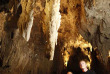 Nouvelle-Zélande - Waitomo - Excursion aux grottes de Waitomo