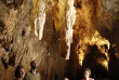 Nouvelle-Zélande - Waitomo - Excursion aux grottes de Waitomo