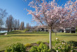 Nouvelle-Zélande - Wanaka - Edgewater