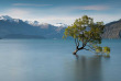 Nouvelle-Zélande - Wanaka - Edgewater