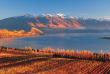 Nouvelle-Zélande - Wanaka - Saveurs et vins fins du Central Otago © Tourism New Zealand, David Wall
