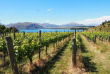 Nouvelle-Zélande - Wanaka - Saveurs et vins fins du Central Otago © Nouvelle-zelande-a-la-carte.com