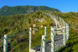 Nouvelle-Zélande - West Coast - Paparoa National Park - Truman Track