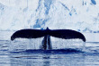 Croisières PONANT - Antarctique - L'Antarctique Emblématique © Studio Ponant, Morgane Monneret