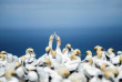 Croisières PONANT - Nouvelle-Zélande © Studio Ponant, Margot Sibilaud