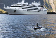 Croisières PONANT - Nouvelle-Zélande - Les îles Subantarctiques de Nouvelle-Zélande © Studio Ponant, Margot Sibilaud