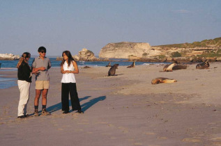 Australie - South Australia - Kandaroo Island - Seal Bay