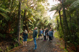 Nouvelle-Zélande - Auckland - Bush and Beach