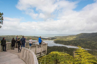Nouvelle-Zélande - Auckland - Bush and Beach