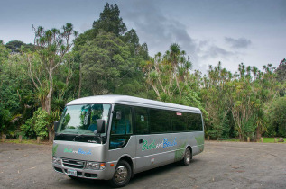 Nouvelle-Zélande - Auckland - Bush and Beach