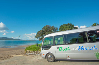 Nouvelle-Zélande - Auckland - Bush and Beach