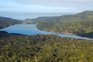 Nouvelle-Zélande - Auckland - Bush and Beach