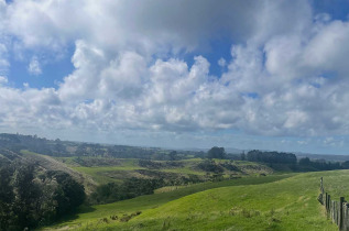 Nouvelle-Zélande - Helensville - Rewarewa PurePod