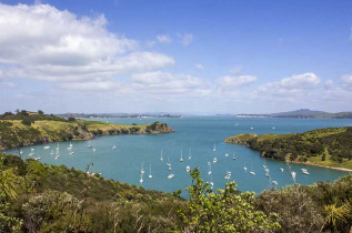 Nouvelle-Zélande - Auckland - Visite guidée et en liberté de l'île de Waiheke © Tourism New Zealand, Kelly Irving