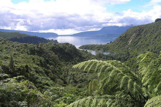 Nouvelle-Zélande - Coromandel - Toutes les facettes de Coromandel en petit groupe